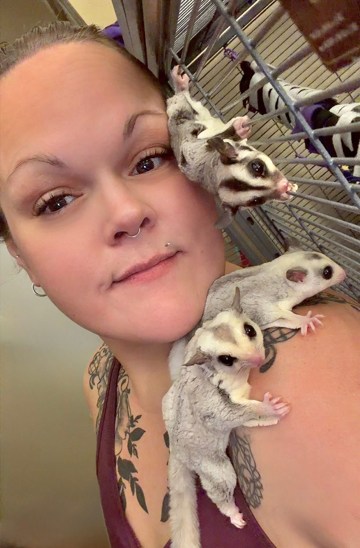 Moonlit Marsupials