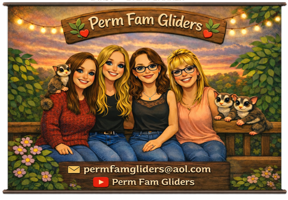 Perm Fam Gliders